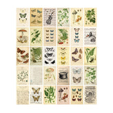 Dark Academia Collage-Kit